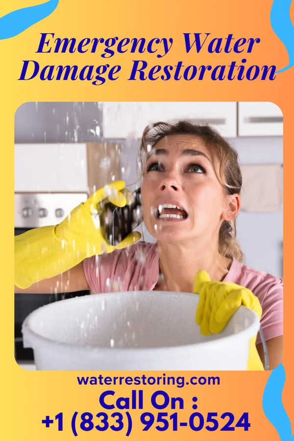 Emergency Water Damage Restoration in Chidester, AR