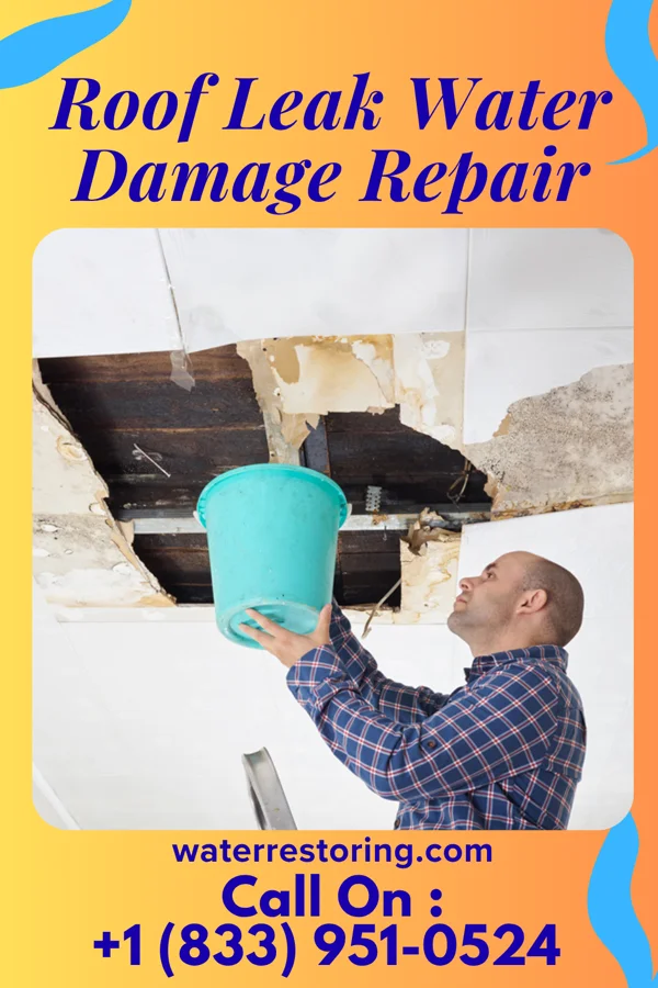 Roof Leak Water Damage Repair in Chidester, AR